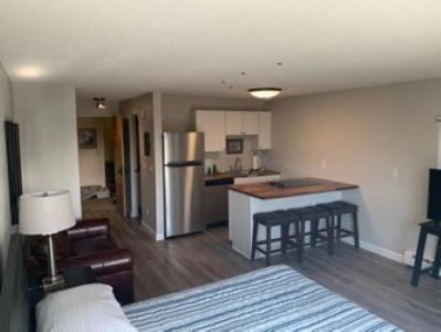 The Pioneer Studio At 1400K Anchorage Extérieur photo