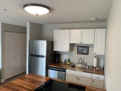 The Pioneer Studio At 1400K Anchorage Extérieur photo